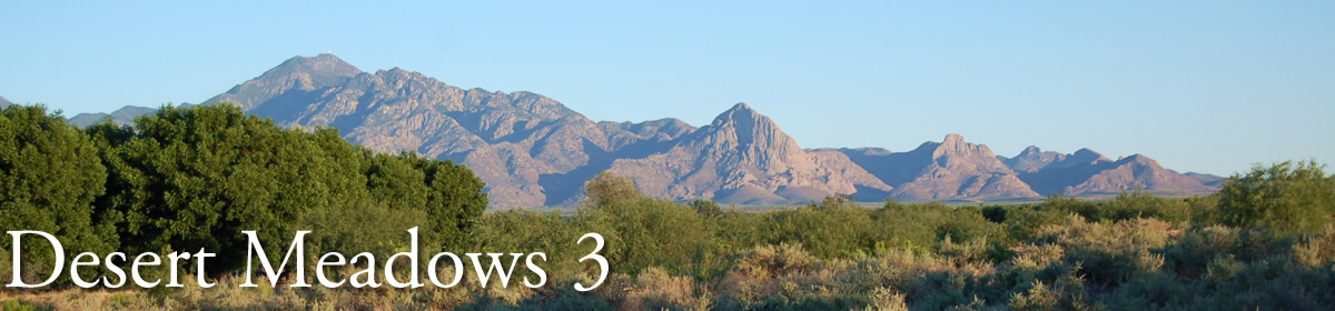 Desert Meadows 3